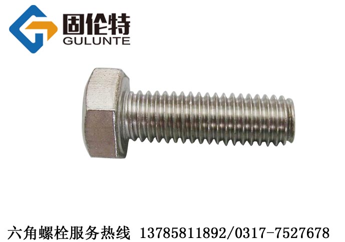 不鏽鋼（gāng）外六角螺絲廠家
