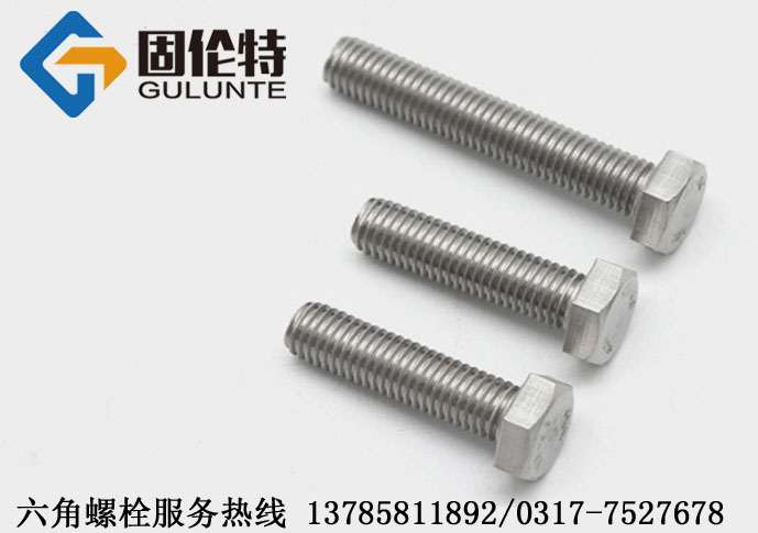 不鏽鋼（gāng）螺絲生產廠家